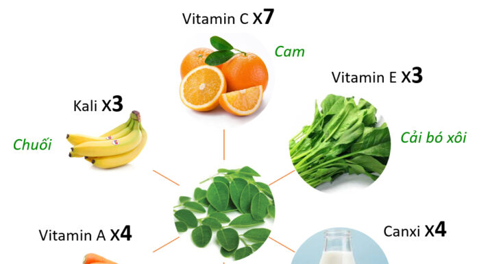 The Amazing Health Benefits of Moringa Trees: Unlocking Nature’s Secret Superfood