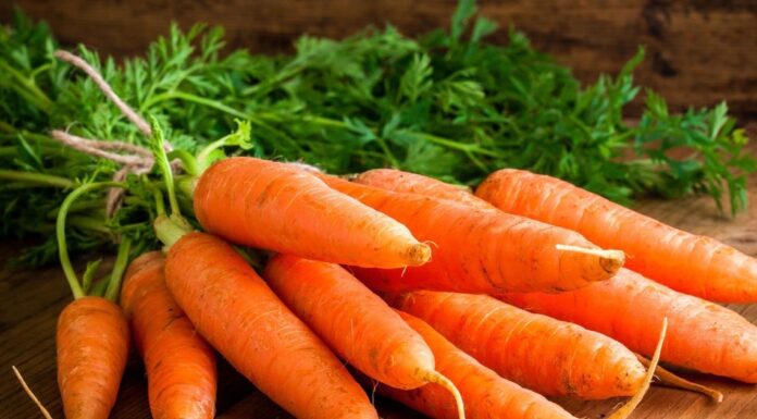 “Unveil the Secret: 5 Superfoods to Combat Sunburn and Boost Inner Radiance”