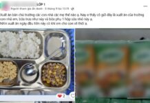 The School Lunch Dilemma: A Mother’s Plight.