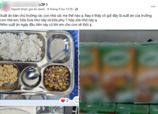 The School Lunch Dilemma: A Mother’s Plight.