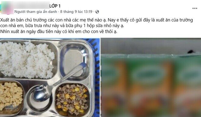 The School Lunch Dilemma: A Mother’s Plight.