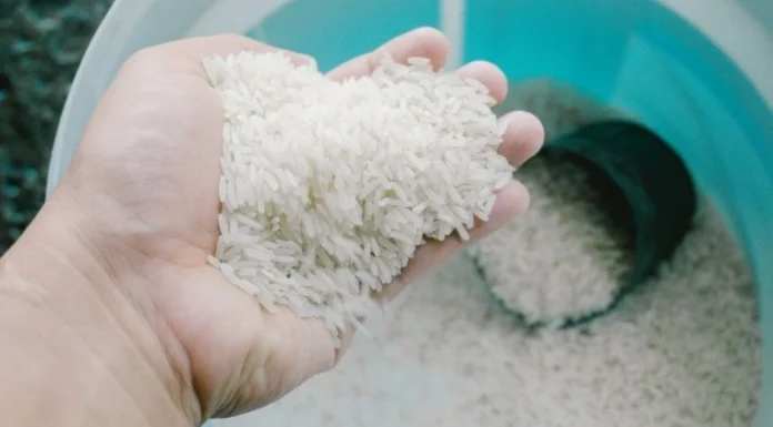 10 Surefire Methods to Remove Sticky Sap Stains