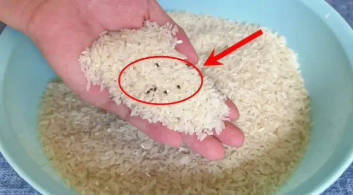 The Ultimate Guide to Rice Storage: 4 Tips to Keep Pests at Bay All Year Round