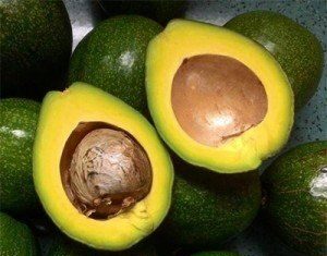 Unlock the Power of Avocado Pits: Nature’s Hidden Antioxidant Treasure for Weight Loss and Beauty