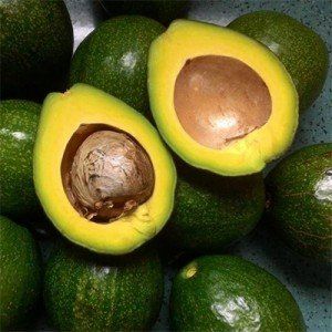 Unlock the Power of Avocado Pits: Nature’s Hidden Antioxidant Treasure for Weight Loss and Beauty