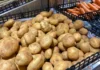 “Choosing the Right Potato: It’s Not Just About Size, It’s About Texture, Too”