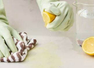 The Do’s and Don’ts of Cleaning with Lemons: Surprising Things You Should Never Clean with Lemons