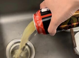 The Magic of Beer: Unclog Drains and Banish Odors in Just 5 Minutes!
