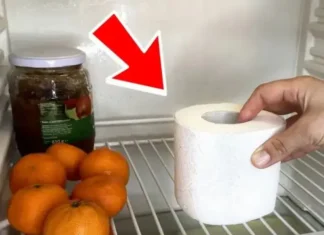 The Magic of a Toilet Roll: Slash Energy Bills by a Simple Fridge Hack