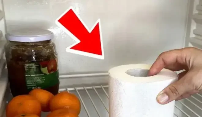 The Magic of a Toilet Roll: Slash Energy Bills by a Simple Fridge Hack
