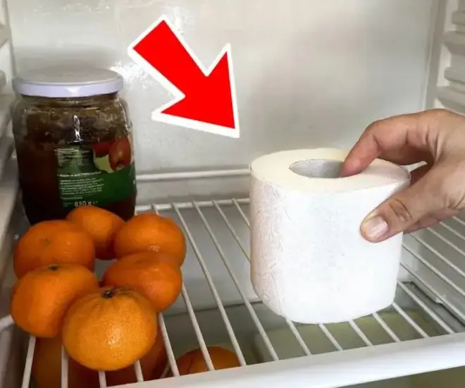 The Magic of a Toilet Roll: Slash Energy Bills by a Simple Fridge Hack