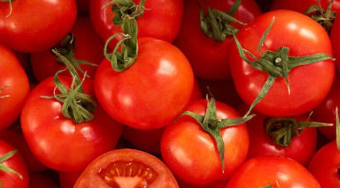 “The Secret to Fluffy Eggs: Avoid the Frying Pan for This Tasty Tomato Egg Dish”