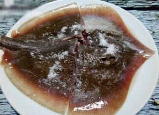 The Ultimate Delicacy in Phan Thiet: An Indulgent Experience with a Unique “Bumpy” Treat