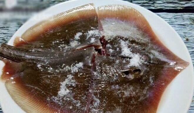 The Ultimate Delicacy in Phan Thiet: An Indulgent Experience with a Unique “Bumpy” Treat