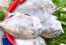 “The Generously Named Fish: A Rare Delicacy in Binh Thuan, Beloved by All Ages for Its Unique Meat”