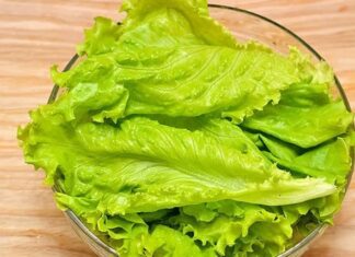 “Surprising Superfood: Vietnam’s Affordable Everyday Vegetable Named Among the World’s Best for Youthful Skin and a Slimmer Figure”