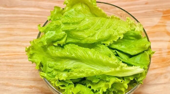 “Surprising Superfood: Vietnam’s Affordable Everyday Vegetable Named Among the World’s Best for Youthful Skin and a Slimmer Figure”