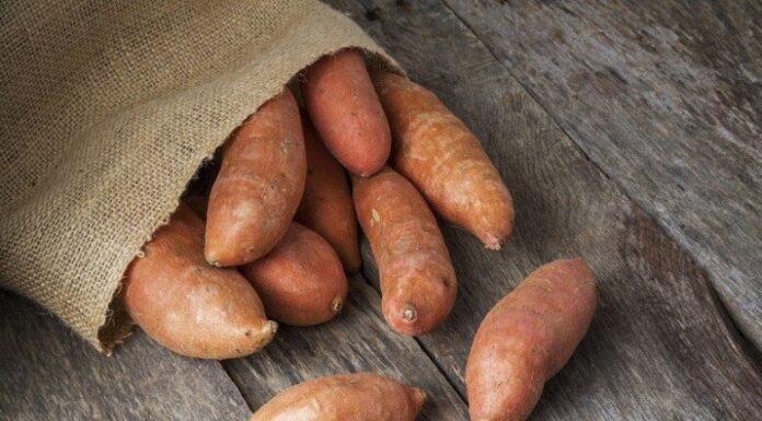 The Ultimate Guide to Perfectly Boiled Sweet Potatoes: Unlocking the Secret to Fluffy, Buttery Goodness
