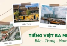 Mastering Regional Differences: A Guide to Distinguishing Object Names and Pronouns in Northern and Southern Vietnam