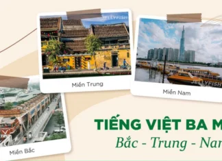 Mastering Regional Differences: A Guide to Distinguishing Object Names and Pronouns in Northern and Southern Vietnam