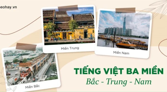 Mastering Regional Differences: A Guide to Distinguishing Object Names and Pronouns in Northern and Southern Vietnam