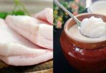 New Study Unveils Surprising Benefits of Pork Fat: Is Its Long-Standing Bad Reputation Finally Cleared?