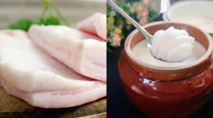 New Study Unveils Surprising Benefits of Pork Fat: Is Its Long-Standing Bad Reputation Finally Cleared?
