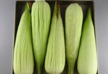 Preserving Corn: A Simple Hack to Keep Your Corn Fresh for Months