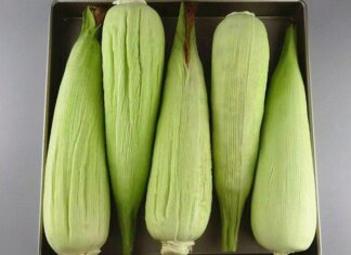 Preserving Corn: A Simple Hack to Keep Your Corn Fresh for Months