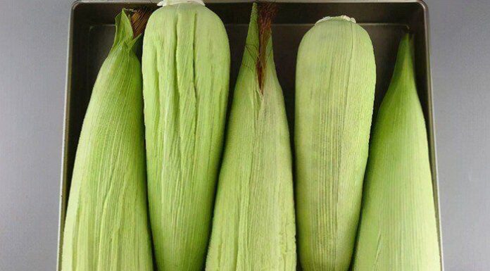 Preserving Corn: A Simple Hack to Keep Your Corn Fresh for Months