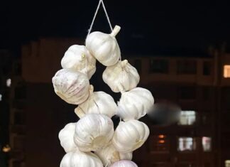 “The Ultimate Garlic Guide: 8 Tips for Long-Lasting, Pest-Free Bulbs”