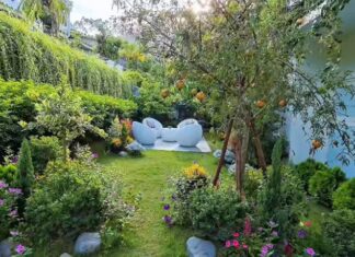 The Secret Garden: A Peek into the Enchanted Villa of a Renowned VTV Actor