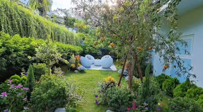 The Secret Garden: A Peek into the Enchanted Villa of a Renowned VTV Actor