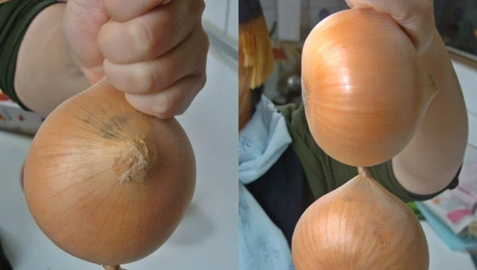 The Ultimate Guide to Storing Onions: Keep Them Fresh for Up to 8 Months!