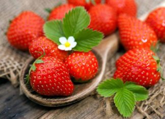 4 Super Berries to Boost Your Health: Don’t Miss Out!