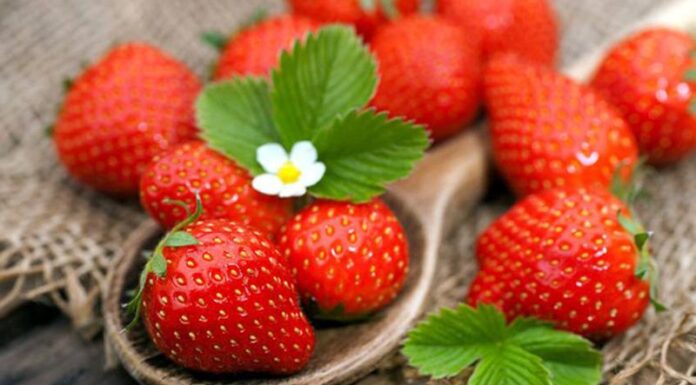 4 Super Berries to Boost Your Health: Don’t Miss Out!