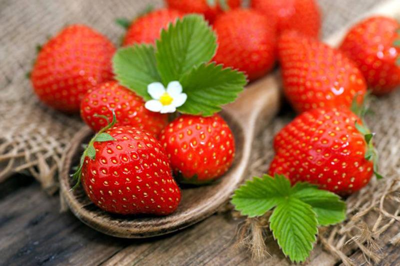 4 Super Berries to Boost Your Health: Don’t Miss Out!