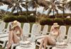 The Billionaire’s Wife, Phanh Lee, Stuns in Bikini: Her Faithful Choice of Colors