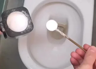 Why Sprinkle a Pinch of Salt in the Toilet Bowl?