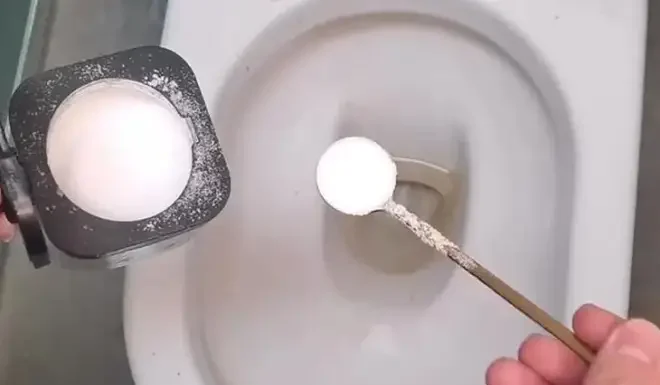 Why Sprinkle a Pinch of Salt in the Toilet Bowl?
