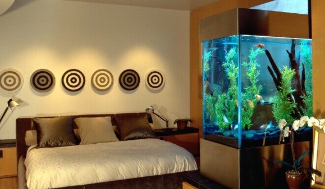 The Spooky Month: For a Healthy and Fortune-Filled Bedroom, Banish These 4 Things