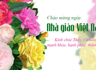 Heartfelt and Meaningful 20th November Greetings for Teachers