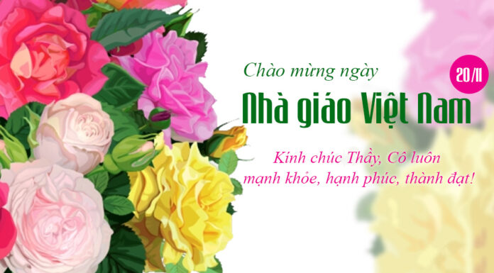 Heartfelt and Meaningful 20th November Greetings for Teachers