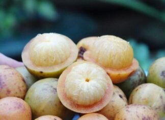 “The ‘Nameless’ Fruit Transformed into a Priceless Delicacy: Its Enchanting Aroma Captivates Many, While Its Health Benefits Are Unmatched”