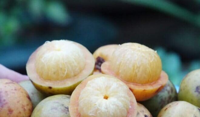 “The ‘Nameless’ Fruit Transformed into a Priceless Delicacy: Its Enchanting Aroma Captivates Many, While Its Health Benefits Are Unmatched”