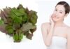 3 Simple Tips to “Revamp” Dull Skin with Basil