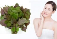 3 Simple Tips to “Revamp” Dull Skin with Basil