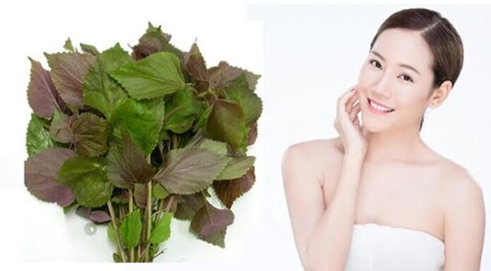 3 Simple Tips to “Revamp” Dull Skin with Basil
