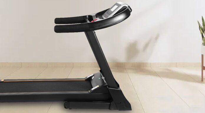 Top 10 Gift Ideas for Sports Enthusiasts