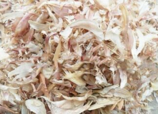 Unlock the Power of Garlic Skins: 9 Genius Ways to Save Hundreds Annually